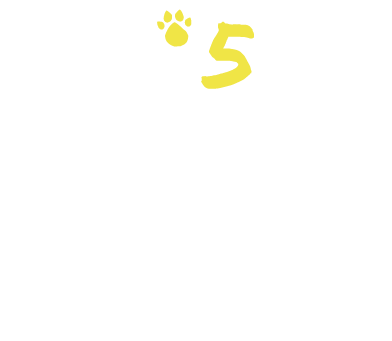 MyHi5Cats